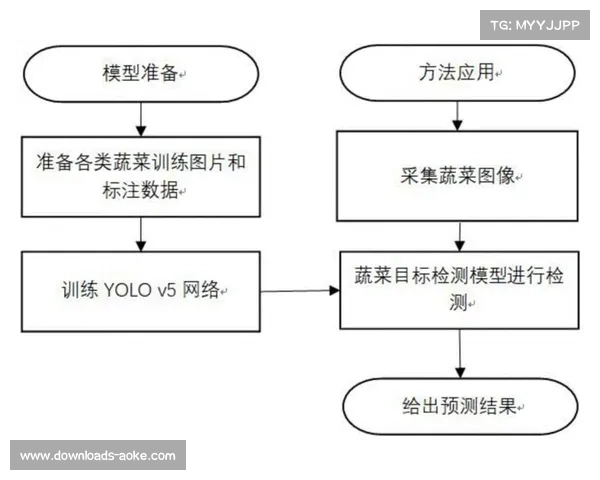 YOLO模型迁移学习识别篮球，降低背景干扰误差